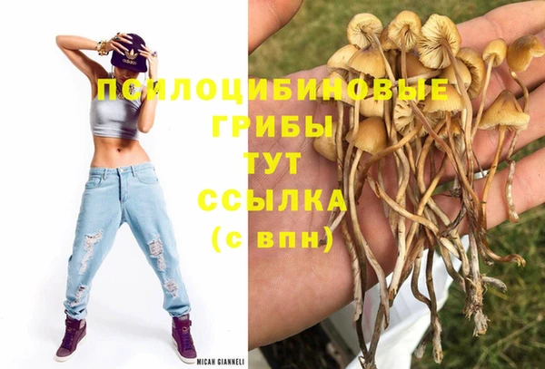 гашишное масло Алексеевка